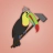 InDefenseOfToucans