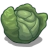 A Cabbage