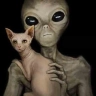 Roswell