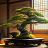 Bonsai