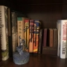 The Brooding Bookcase