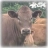 Beefalo :verified: