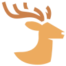 Elk