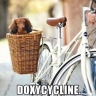 Doxy_cycling, MPH MLS