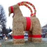 :spinnenrad:  Festivegoat :spinnenrad: