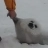 Huge Baikal Seal