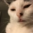 Garret :bongoCat: