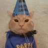 Party Animal