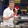 Chef Gordon Ramsey