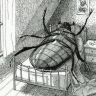 gregor samsa #Polakkoma